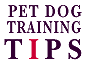 PET DOG TRAINING TIPS