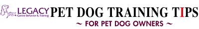 PET DOG TRAINING TIPS FOR PET DOG OWNERS