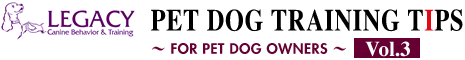 Pet Dog Training TIPS Vol.3