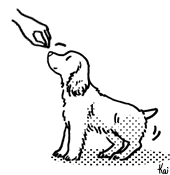 イラスト