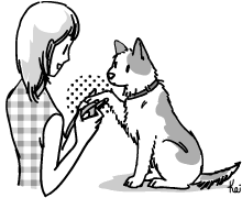 イラスト