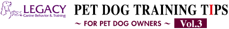 PET DOG TRAINING TIPS FOR PET DOG OWNERS Vol.3