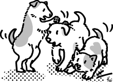 イラスト